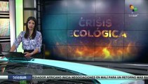 Brigadistas bolivianos cooperan en combate contra incendios en Argentina
