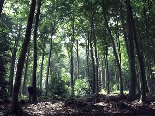 Todos los Caminos de Dios – Tráiler en Español