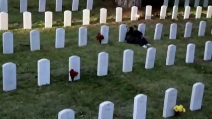 Sons of Anarchy | Tráiler | Temporada 3