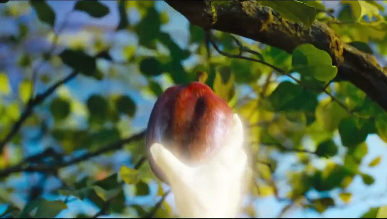 Tráiler 'Noé'