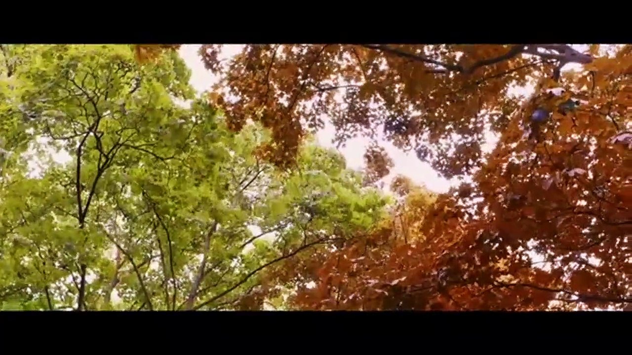 Tráiler 'La vida de Adèle'
