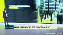 Fund Managers See Gloom Ahead