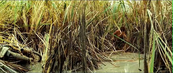 Lo imposible Clip (4)