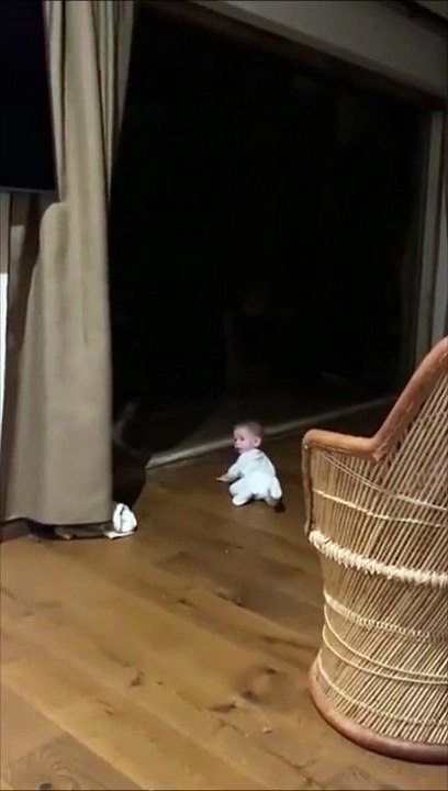 Ce bébé va faire la rencontre d'un lion et s'en souviendra longtemps