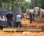 AWANI - Terengganu: Serangan gajah ancam hasil tanaman penduduk Setiu