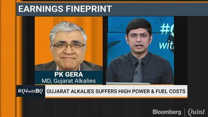 Gujarat Alkalies' Revenue Jumps, Profit Slumps