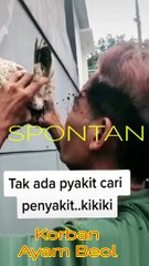 Menjadi korban dari kotoran ayam. Gara-gara sedang melihat kondisi telur di dalam ayam