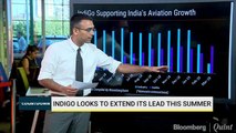 IndiGo Supporting India's Aviation Growth