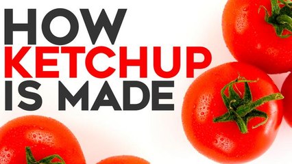 Made In India: How Is Ketchup Made