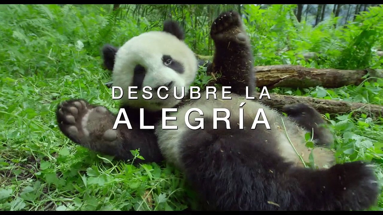 Un día maravilloso en la Tierra