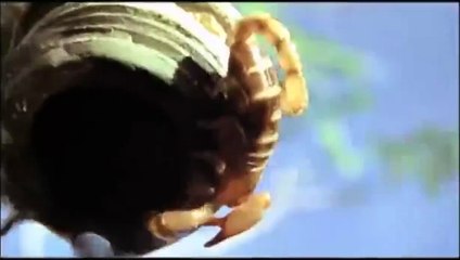 'Camino sin retorno' - Tráiler oficial