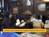 Makmal dadah dibongkar, penjawat awam antara ditahan