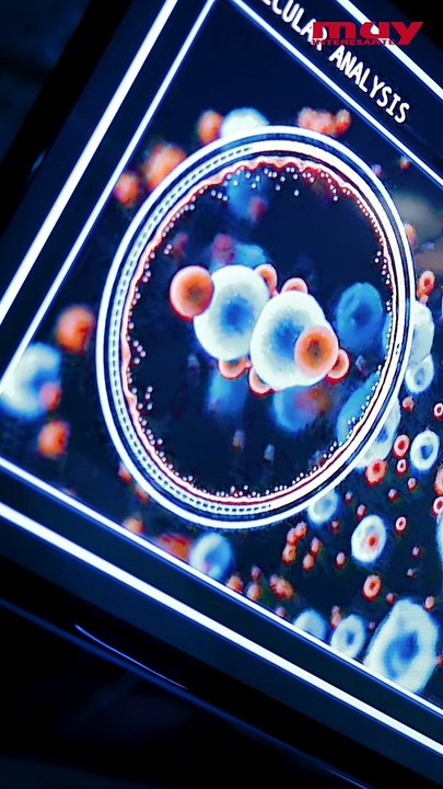 Sistemas magnéticos reproducen artificialmente las funciones de aprendizaje y olvido