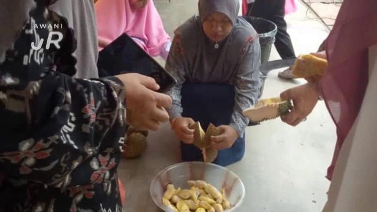 #AWANIJr: Sama-sama rasa