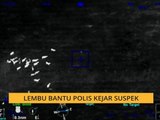 Lembu bantu polis kejar suspek