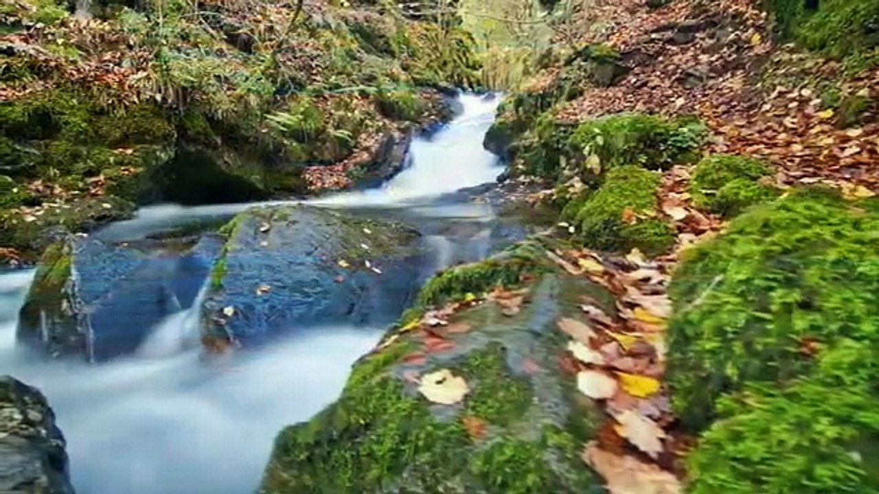 مناظر طبيعية خلابة