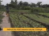 Bicara Borneo: Industri pertanian kaum Toraja