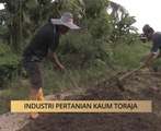 AWANI State [Sabah]: Industri pertanian kaum Toraja