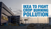 Ikea Wants to Make Stuff From the Straw Now Being Burnt in India
