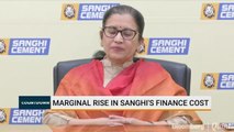 Marginal Rise In Sanghi's Finance Cost