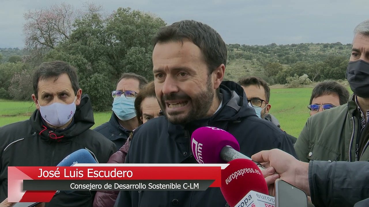 Sureño, Sazú y Silene, tres nuevos linces liberados en C-LM