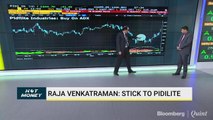 Raja Venkatraman Suggests Sticking With Pidilite