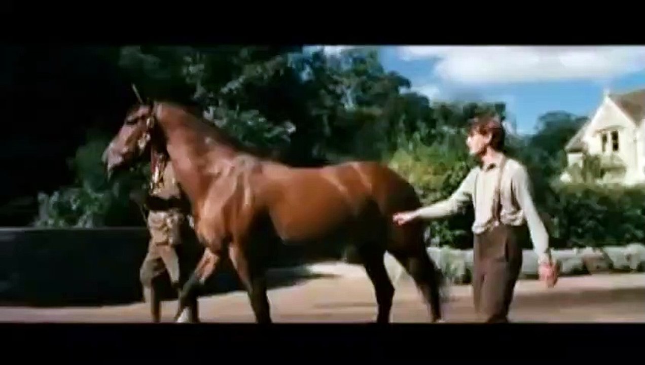 Caballo de guerra
