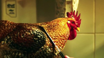 Quando o Galo Cantar Pela Terceira Vez Renegarás Tua Mãe: Trailer