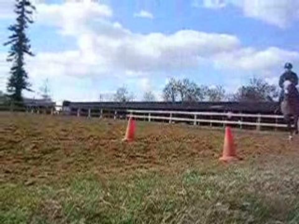 ba la c encor nectar et moi