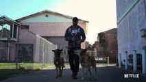 'Canine Intervention' - Tráiler Oficial - Netflix
