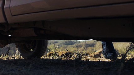 Los débiles: Trailer oficial