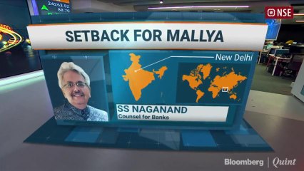 Search And Seizure Permitted At Vijay Mallya's U.K. Properties