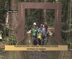 AWANI State [Sabah]: Pokok hutan tropika tertinggi dunia ditemui di Sabah