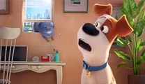 La Vida Secreta de tus Mascotas: Amantes de los perros