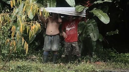 Nosotros las piedras: Trailer oficial