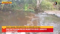 Encontraron peces muertos en el arroyo Caraguatay