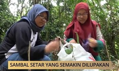 AWANI State [Terengganu]: Sambal setar yang semakin dilupakan