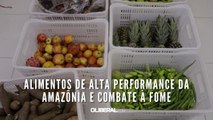 Alimentos de alta performance da Amazônia e combate à fome