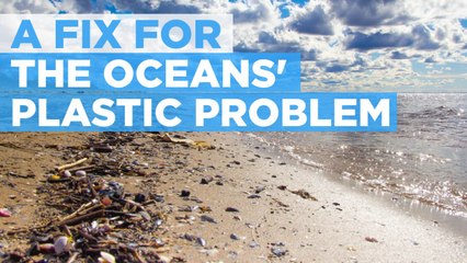 A Fix For The Oceans' Plastic Problem
