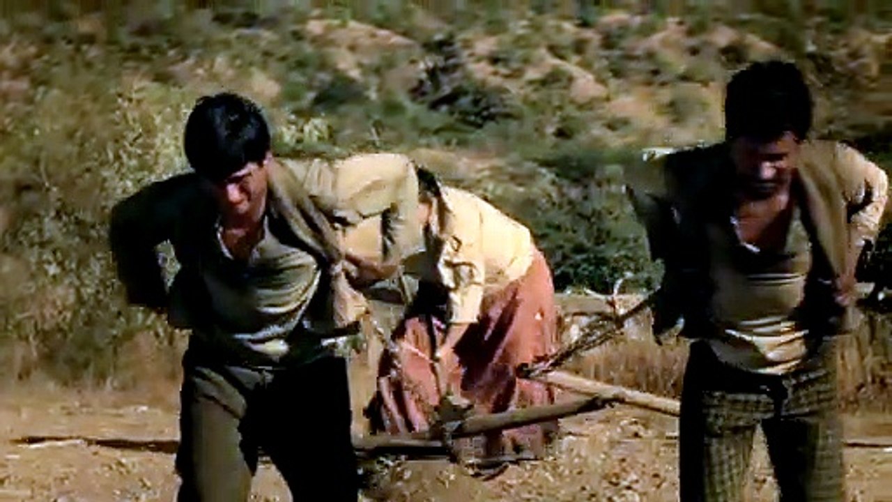 La cebra Tráiler