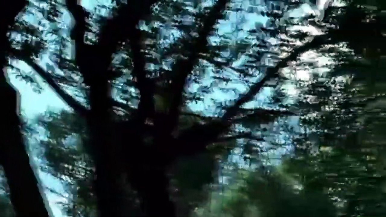 'Seres humanos' - Clip 1