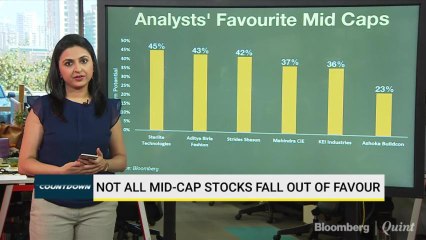 These Are Analysts’ Favourite Mid Caps Amid Rout