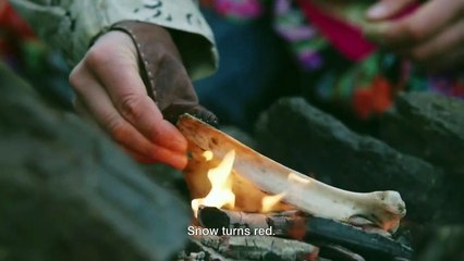 'Midnight Sun' - Tráiler oficial