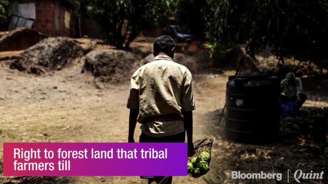 Maharashtra Government Accepts Farmers' Demands