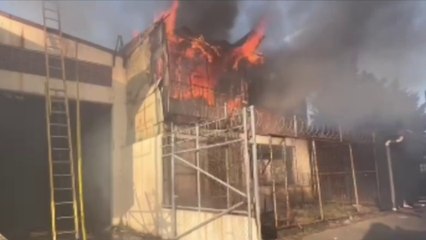 mqn-dino parq-250222