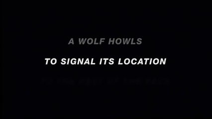 'Teen Wolf: The Movie' - Teaser tráiler oficial