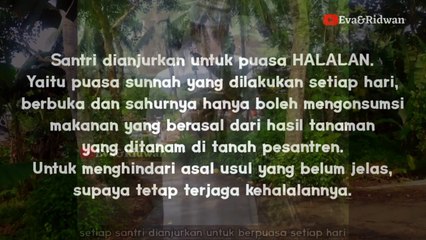 Profil Abuya Mufassir yang lebih dikenal dengan Abuya Munfasir Paku Banten