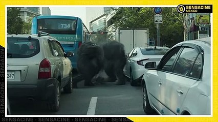 'Rumbo al infierno' - Resumen y final explicado