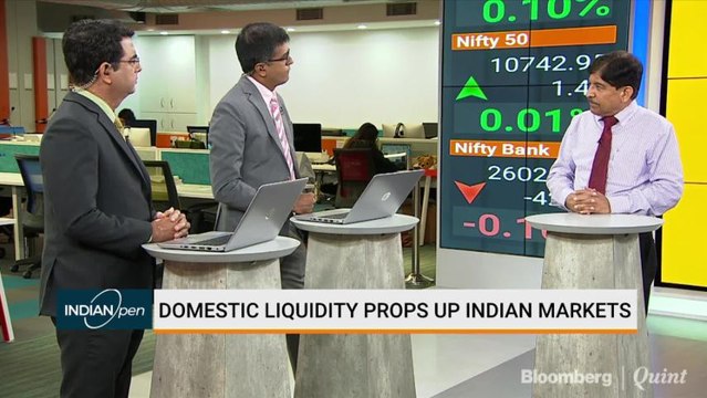 Domestic Liquidity Props Up Indian Markets