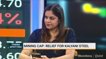 SC Raises Karnataka Iron Ore Mining Cap: Kalyani Steel's View